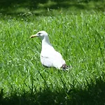 Parc Baie Des Anges 公寓