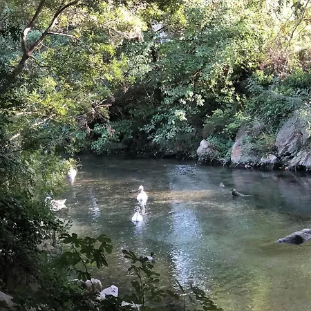 Parc Baie Des Anges *